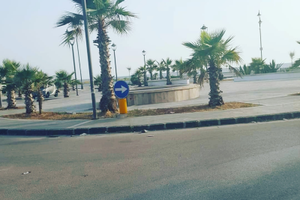 Grazioso appartamento