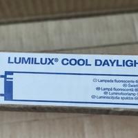 25 neon Osram Lumilux 
