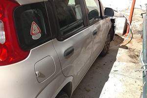 Panda incidentata 