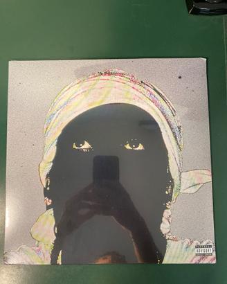 Asap Rocky Don’t be dumb vinile X QUINCE shirthead