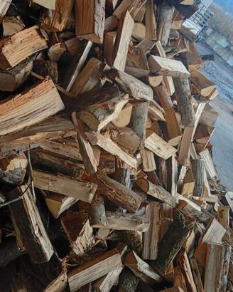 Legna da ardere secca 