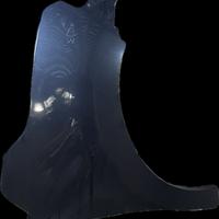 Parafango Anteriore Destro Citroen C3