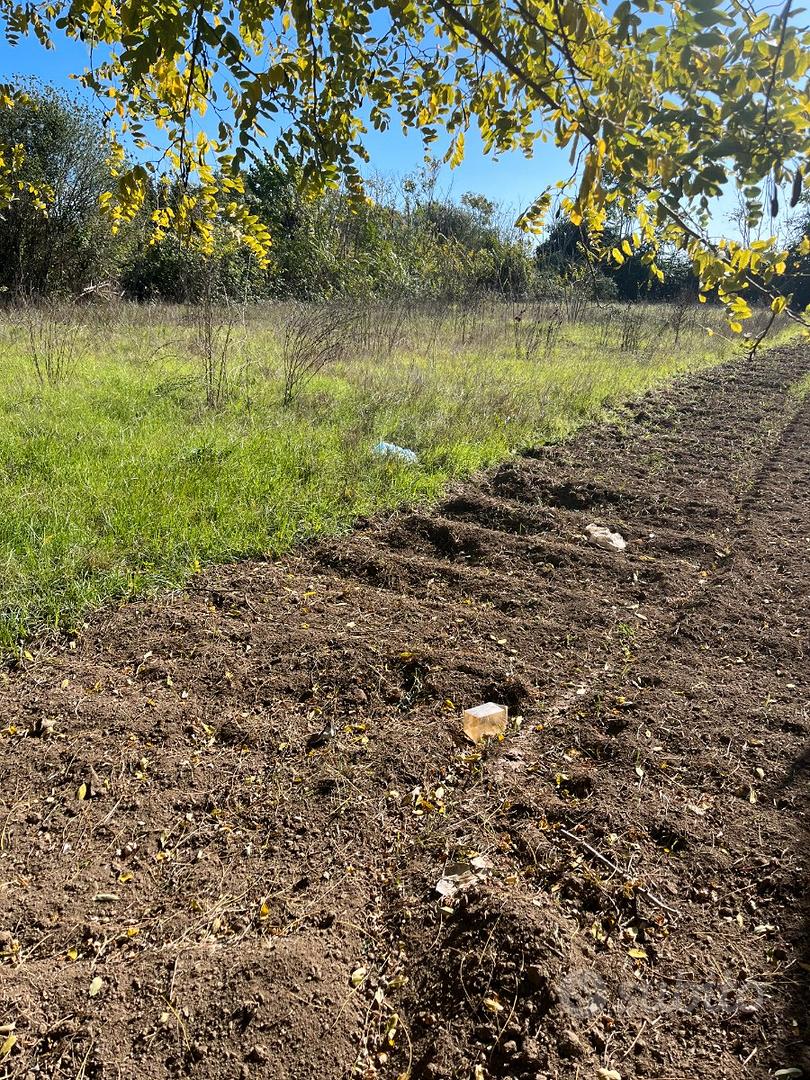 Lotto di terreno 1200 - Vista 3