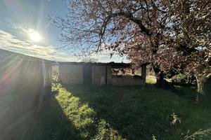 Terreno Agricolo Nepi [Cod. rif 3205654VCG]