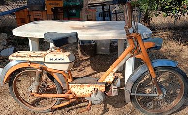 Benelli motobí 50 