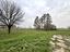 Immagine 7