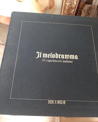 24 dischi in vinile come foto.