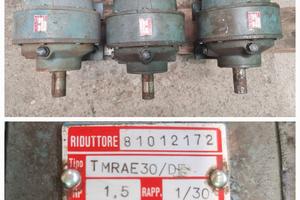 RIDUTTORI BONFIGLIOLI