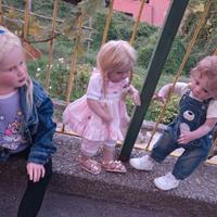 Reborn dolls 