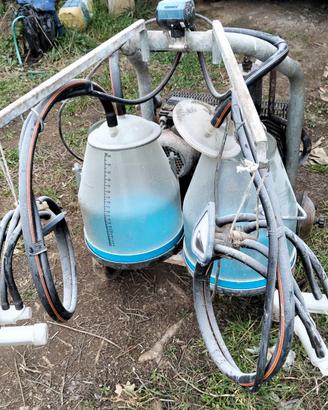 Mungitrice Safra 2 posti