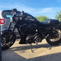 Harley davidson roadster