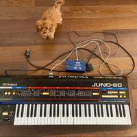 Roland JUNO 60 + Kenton pro DCB Midi mk3