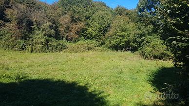 Terreno agricolo 2000mq