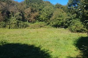 Terreno agricolo 2000mq