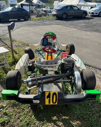 Tony kart 2024