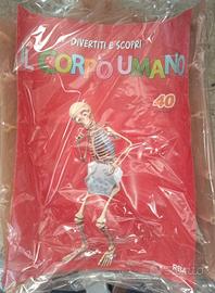 RBA Divertiti e Scopri Il Corpo Umano N. 40