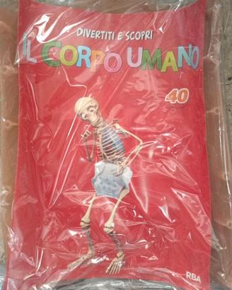 RBA Divertiti e Scopri Il Corpo Umano N. 40