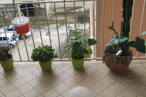 Appartamento 2 piano con ascensore