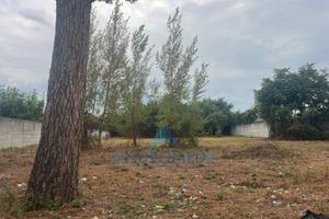 Terreno di 7400 m² a Casoria