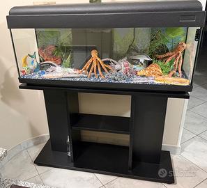Acquario