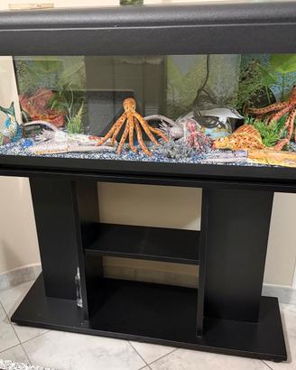 Acquario