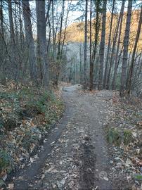 Vari ettari di terreno a bosco