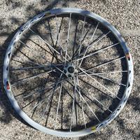 Cerchi tubeless Mavic Crossmax SL per Lefty