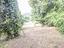 Immagine 22