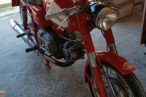 ala verde aermacchi Harley Davidson 