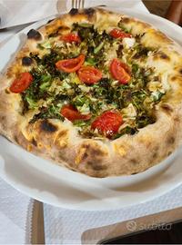 Pizzaiolo x stagione estiva o tutto l'anno