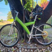 Pininfarina Verdona mancato utilizzo