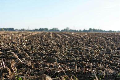 Rif.GS187| terreno agricolo taglio di po