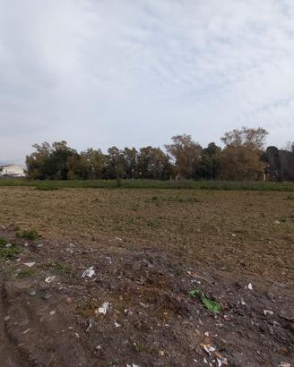 Sestu - pressi Via Don Lorenzo Milani