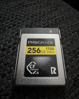 Scheda ProGrade Digital CFexpress Tipo B 256GB Gol