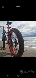 Fat bike