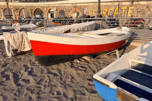 Barca a motore - Modello ingenito