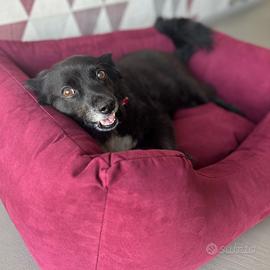 Cuccia cane NUOVA - sfoderabile, made in italy
