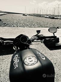 Yamaha fazer customizzata Cafe racer/sella brat