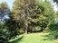 Immagine 12
