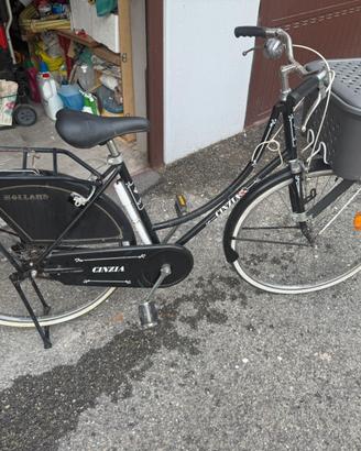Olandese cinzia holland