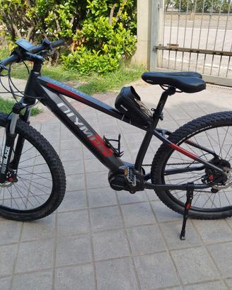 Bici Olympia Master pedalata assistita