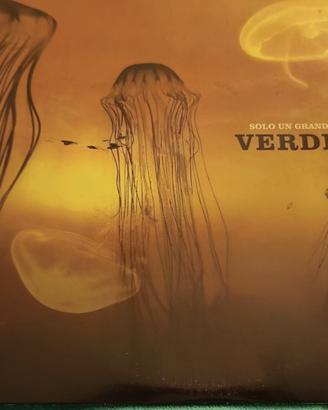 Verdena "Solo un grande sasso" Vinile 2001