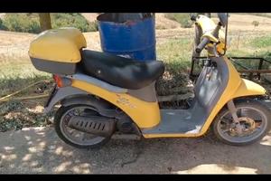 piaggio free 50 cc