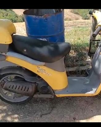 piaggio free 50 cc
