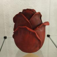 Urna Cineraria Demi Art “Rosa” in Legno