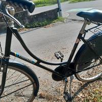  bici da donna torpado 