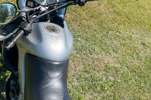 Aprilia pegaso