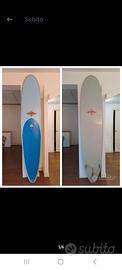 tavola longboard bear