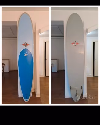 tavola longboard bear