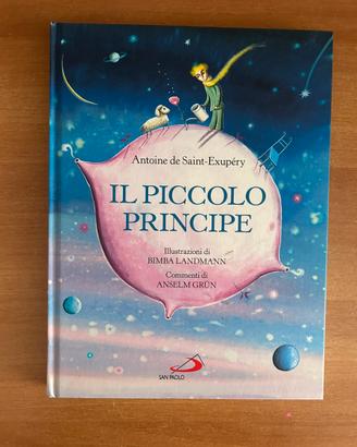 Libro il piccolo principe
